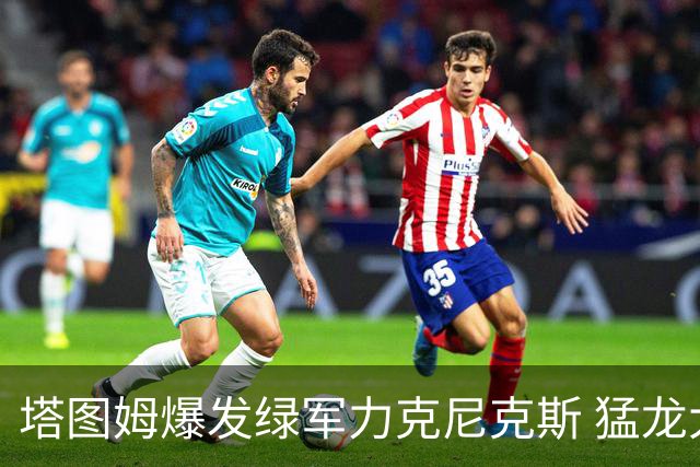 塔图姆爆发绿军力克尼克斯 猛龙大逆转胜奇才