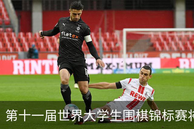 第十一届世界大学生围棋锦标赛将在荷兰举行