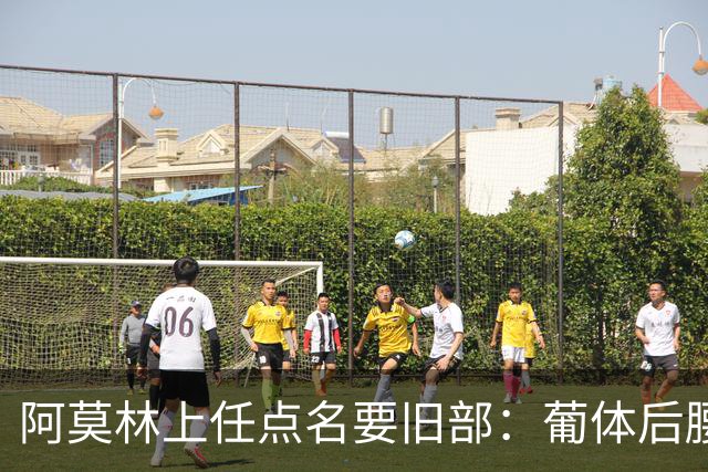 阿莫林上任点名要旧部：葡体后腰卖4500万，曼联放弃之人想转会